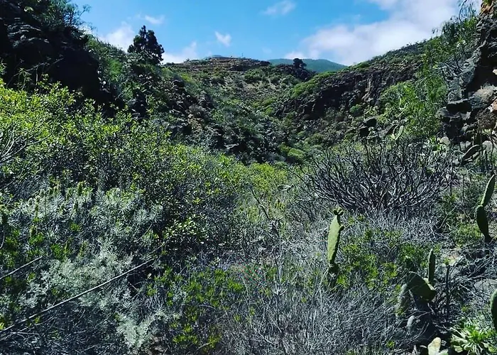 Οργανωμένο κάμπινγκ Yurta De Arico *