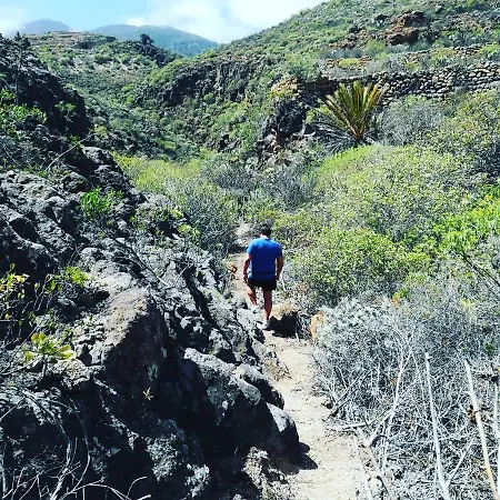 Yurta De Arico * Arico Viejo