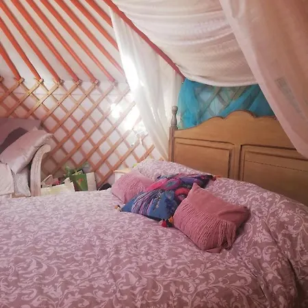 Yurta De Arico Arico Viejo