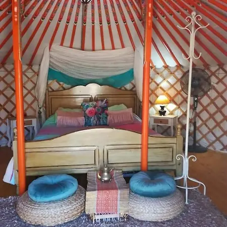 럭셔리텐트 Yurta De Arico Arico Viejo