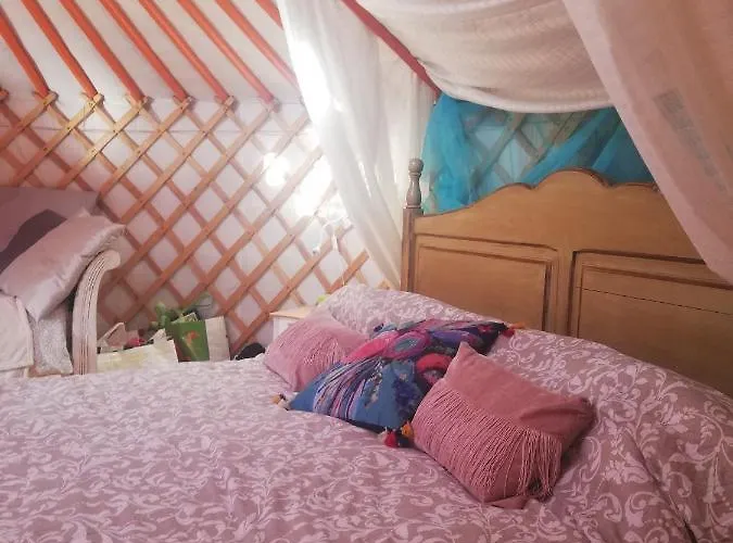 Yurta De Arico Arico Viejo