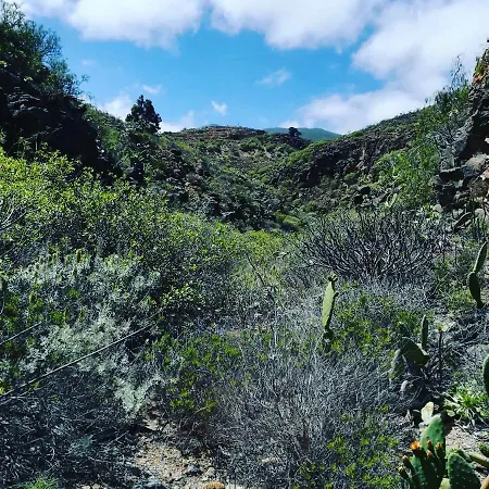 Lüks kamp alanı Yurta De Arico *