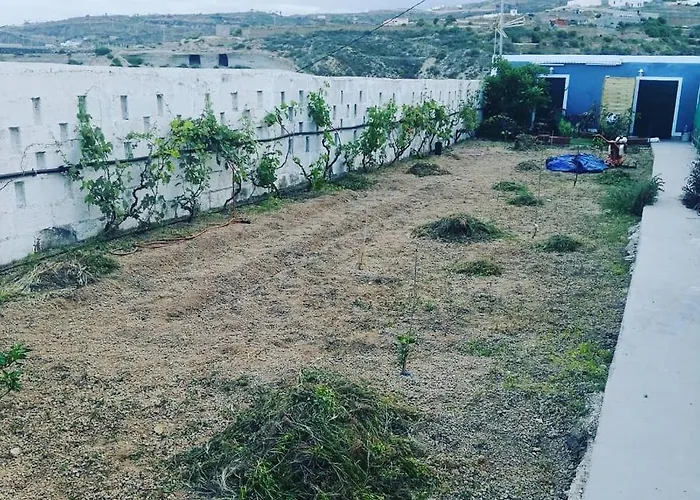 Yurta De Arico * Arico Viejo